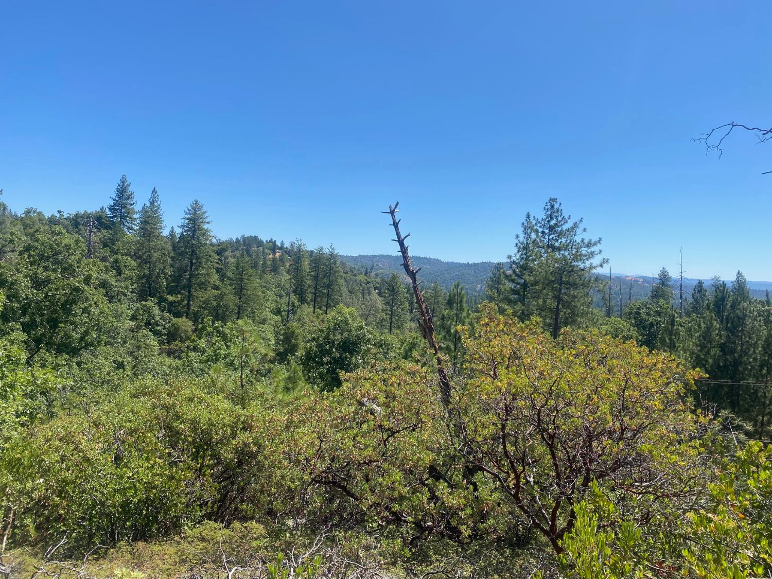 1636 Nickerson Lane Murphys, CA 95247 - Photo 13 of 24