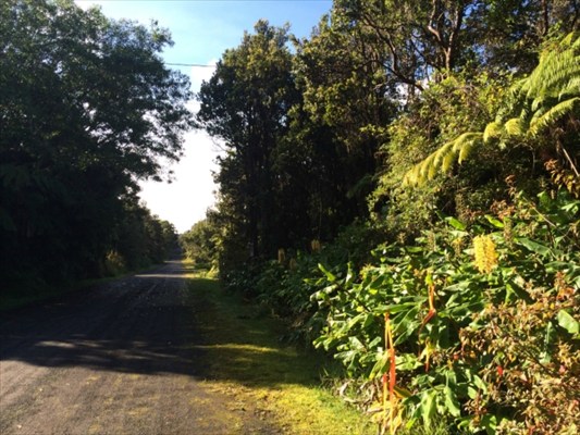 135 Kalaninauli Road Volcano, HI 96785 - Photo 3 of 5 Gallery Image 3