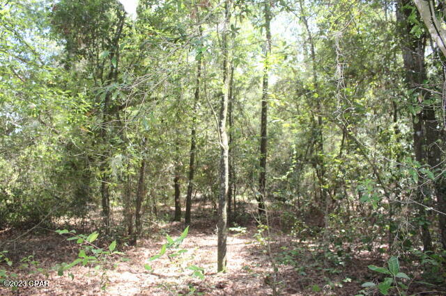 0 Bills Way Keystone Heights, FL 32656 - Photo 15 of 17 Gallery Image 15
