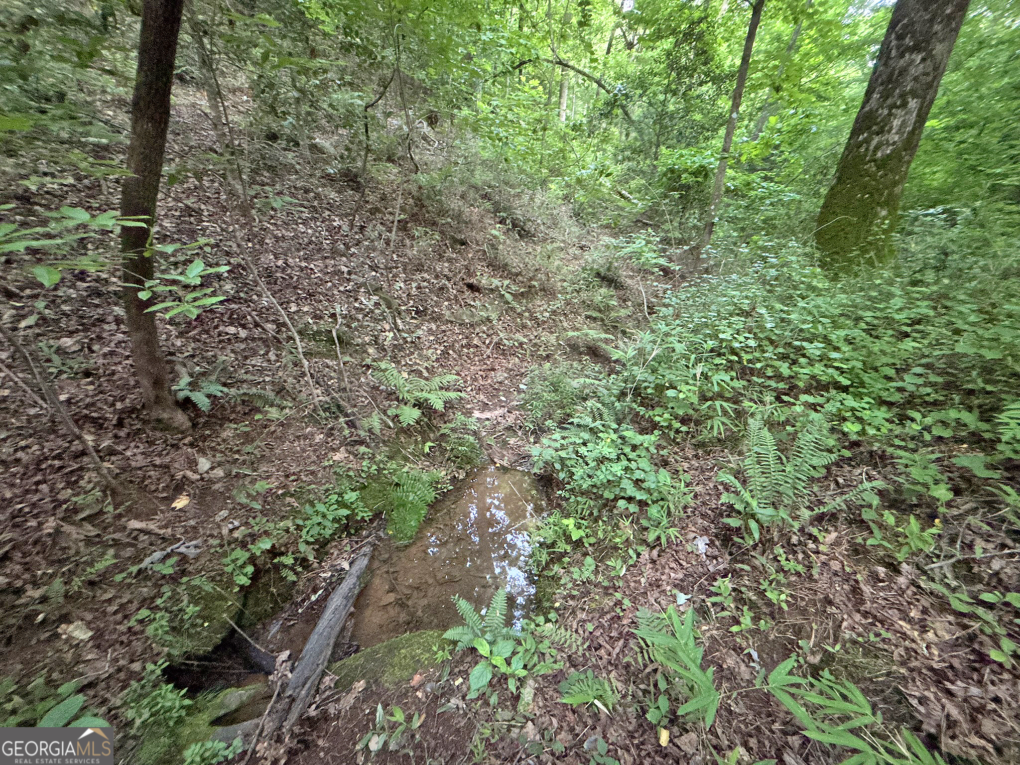 Lot 20 Mt Springer Road Ellijay, GA 30540 - Photo 27 of 32