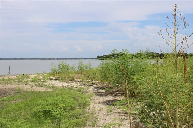 $65,000 | -lot 6 Vista Fina Drive, Sandia, TX 78383