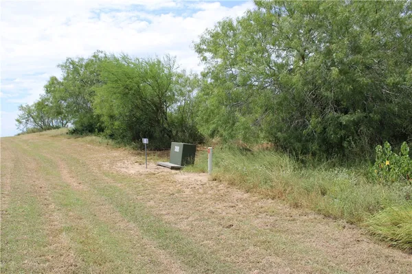 a view of a dry yard with a tree