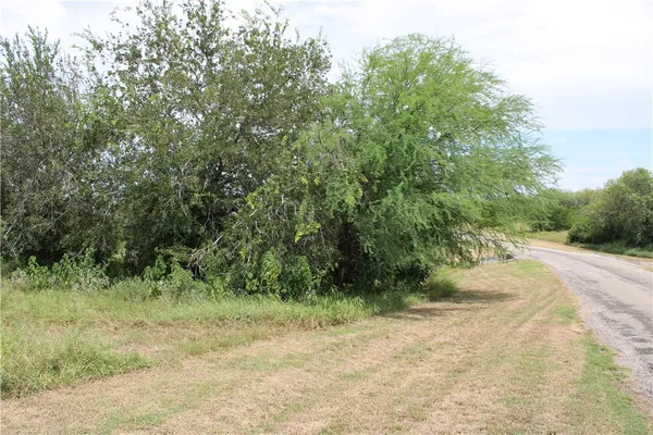 a view of a dirt road with trees in the background
