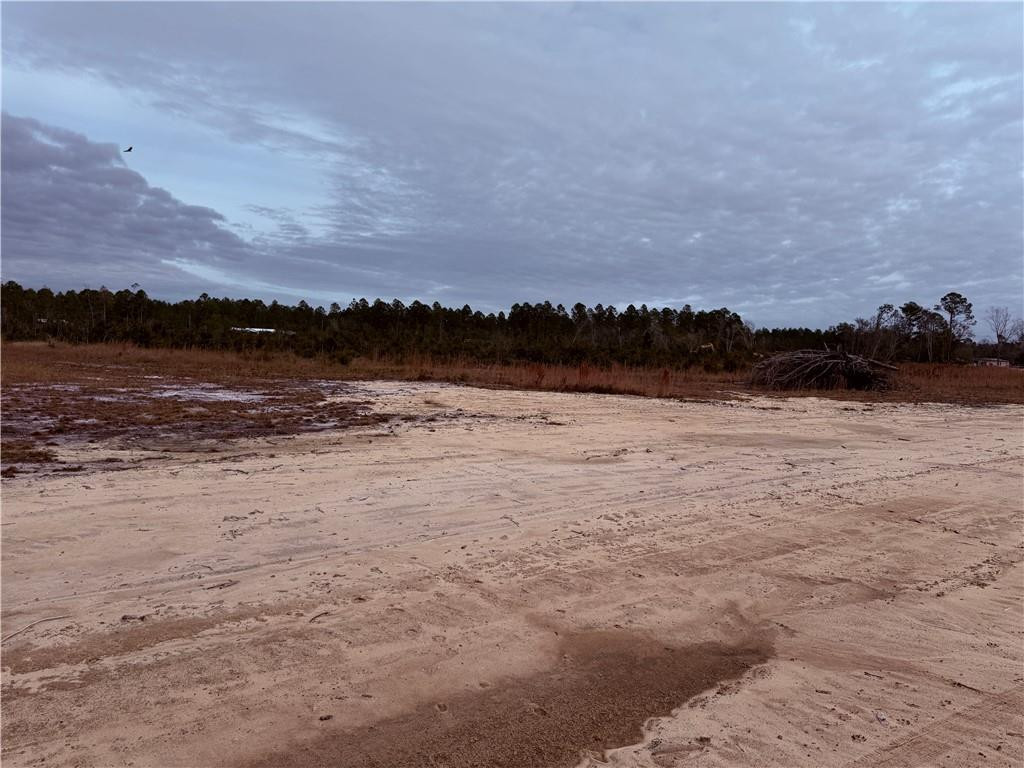 Lot 8 Wiregrass Lane, Unit 8 Waycross, GA 31503 - Photo 2 of 6 Photo 2
