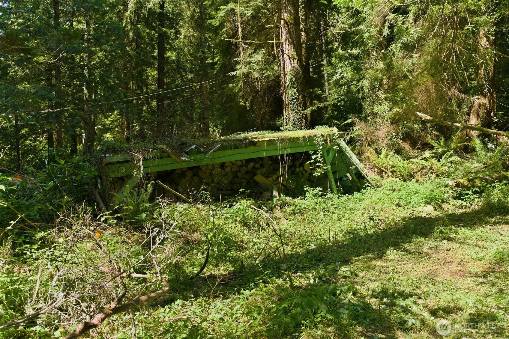 605 Southwest Lake Roesiger Road Snohomish, WA 98290 - Photo 10 of 27