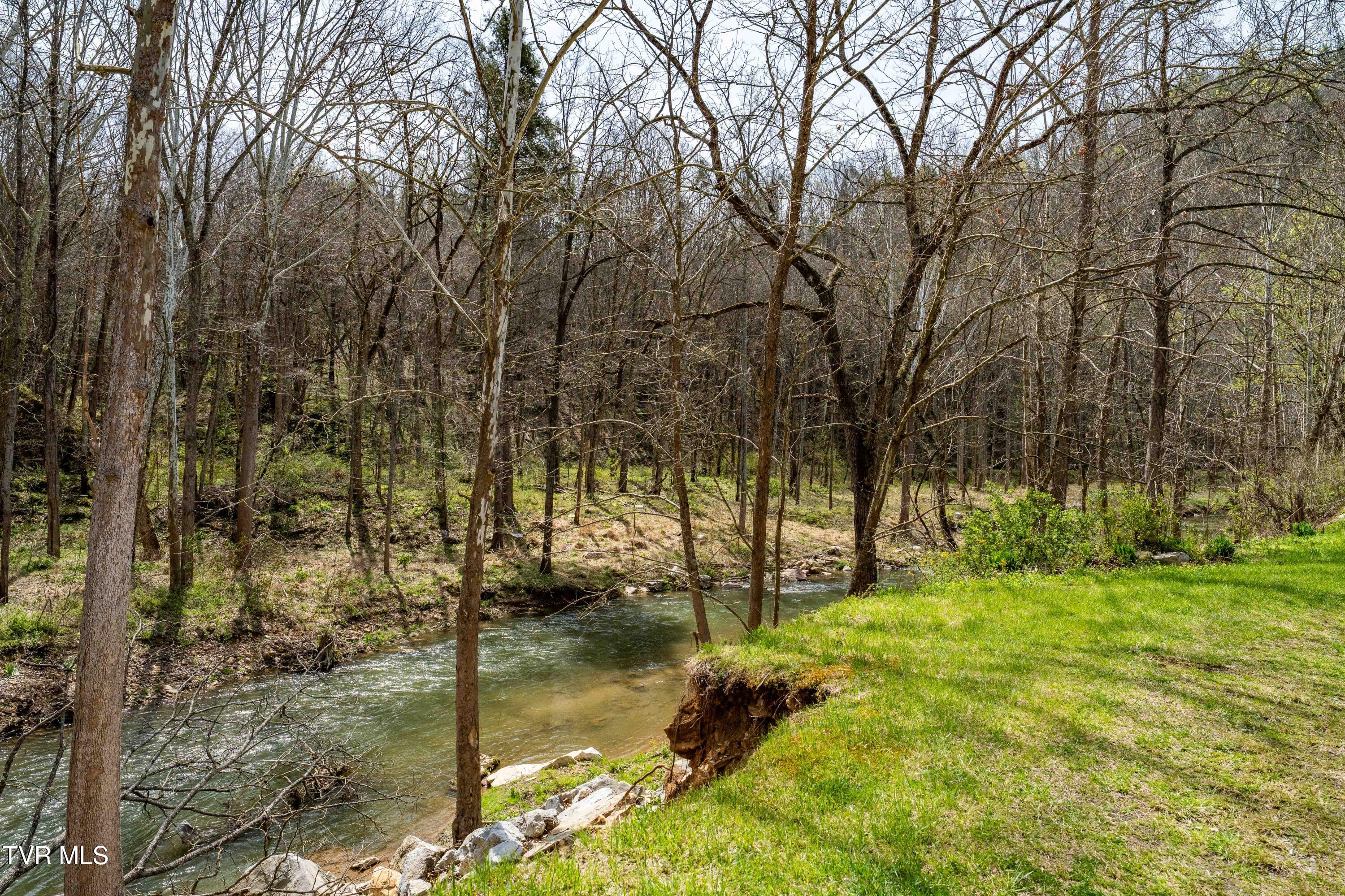 6646 Roan Creek Road Butler, TN 37640 - Photo 69 of 80 6646 Roan Creek Rd (46 of 81)
