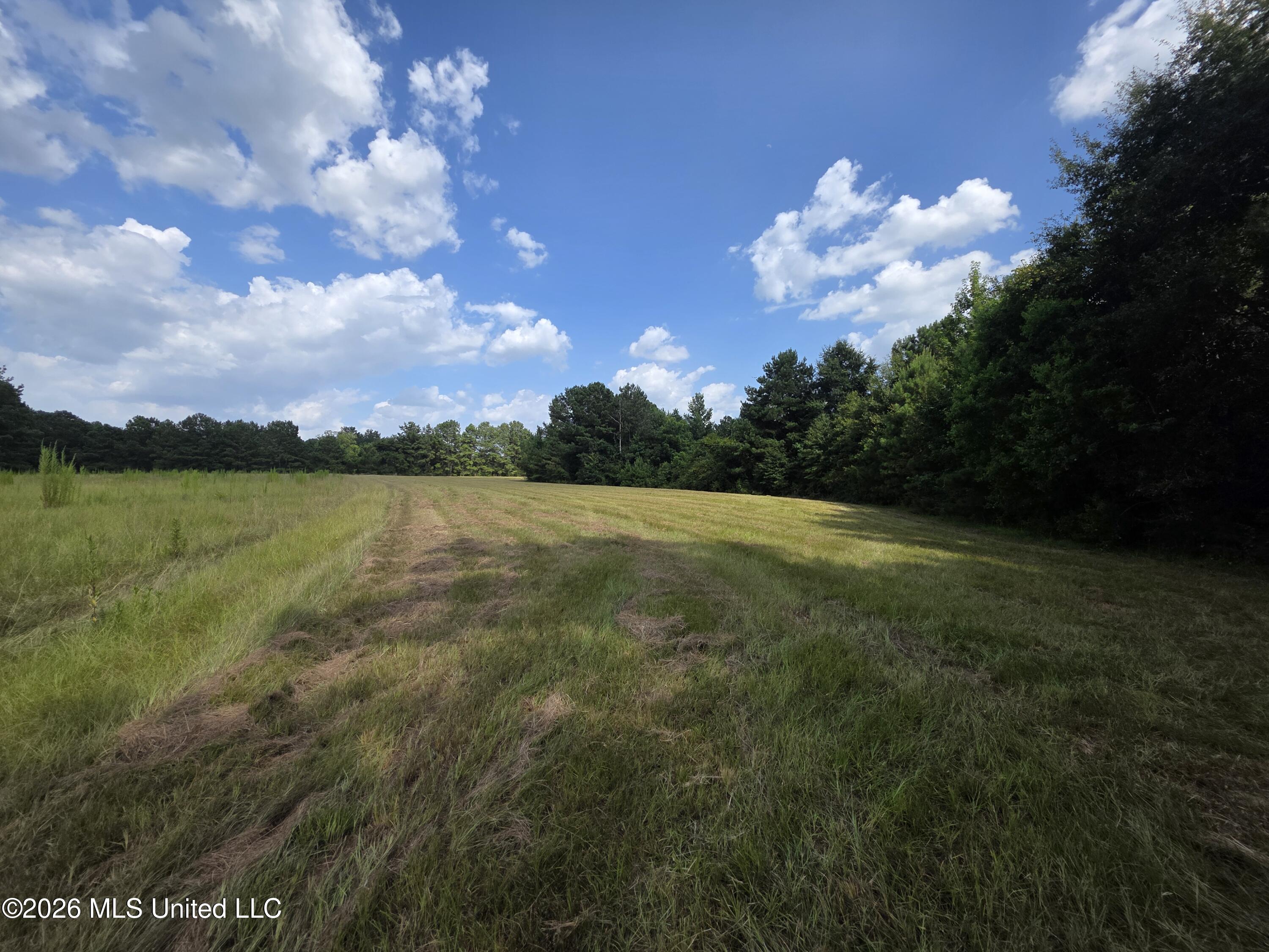 Mt Carmel Road Prentiss, MS 39474 - Photo 49 of 53 38017