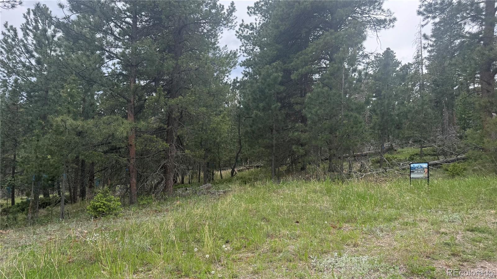717 Crescent Lake Road Golden, CO 80403 - Photo 27 of 27