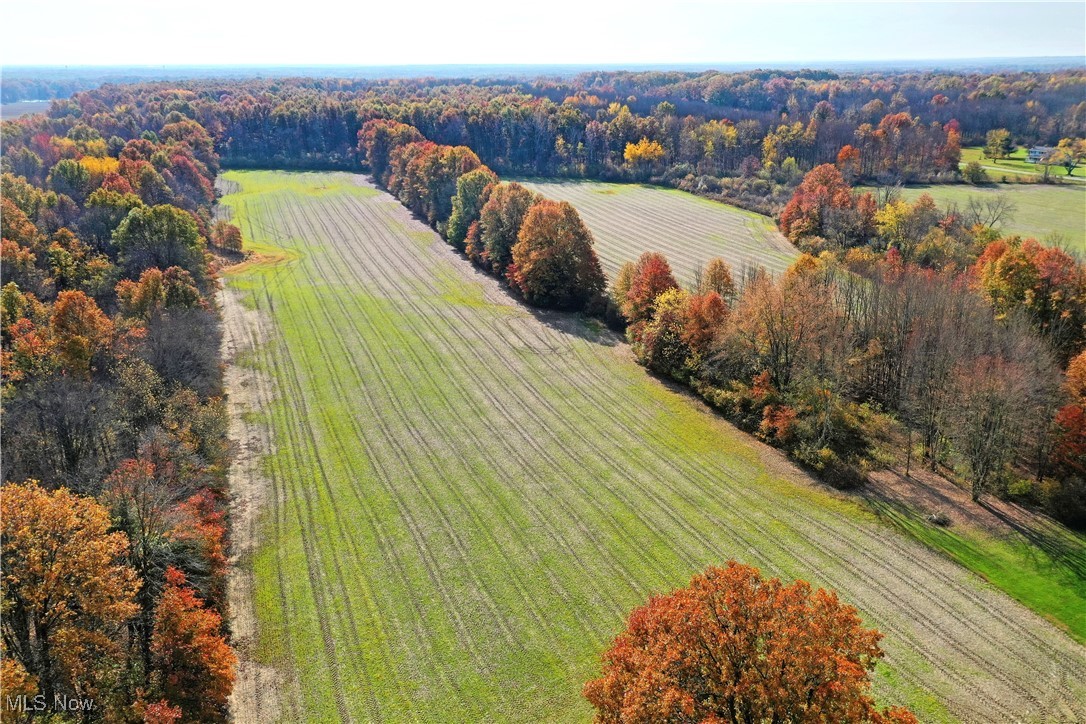 1509 State Road Northwest Warren, OH 44481 - Photo 48 of 49 Aerial view with a rural view