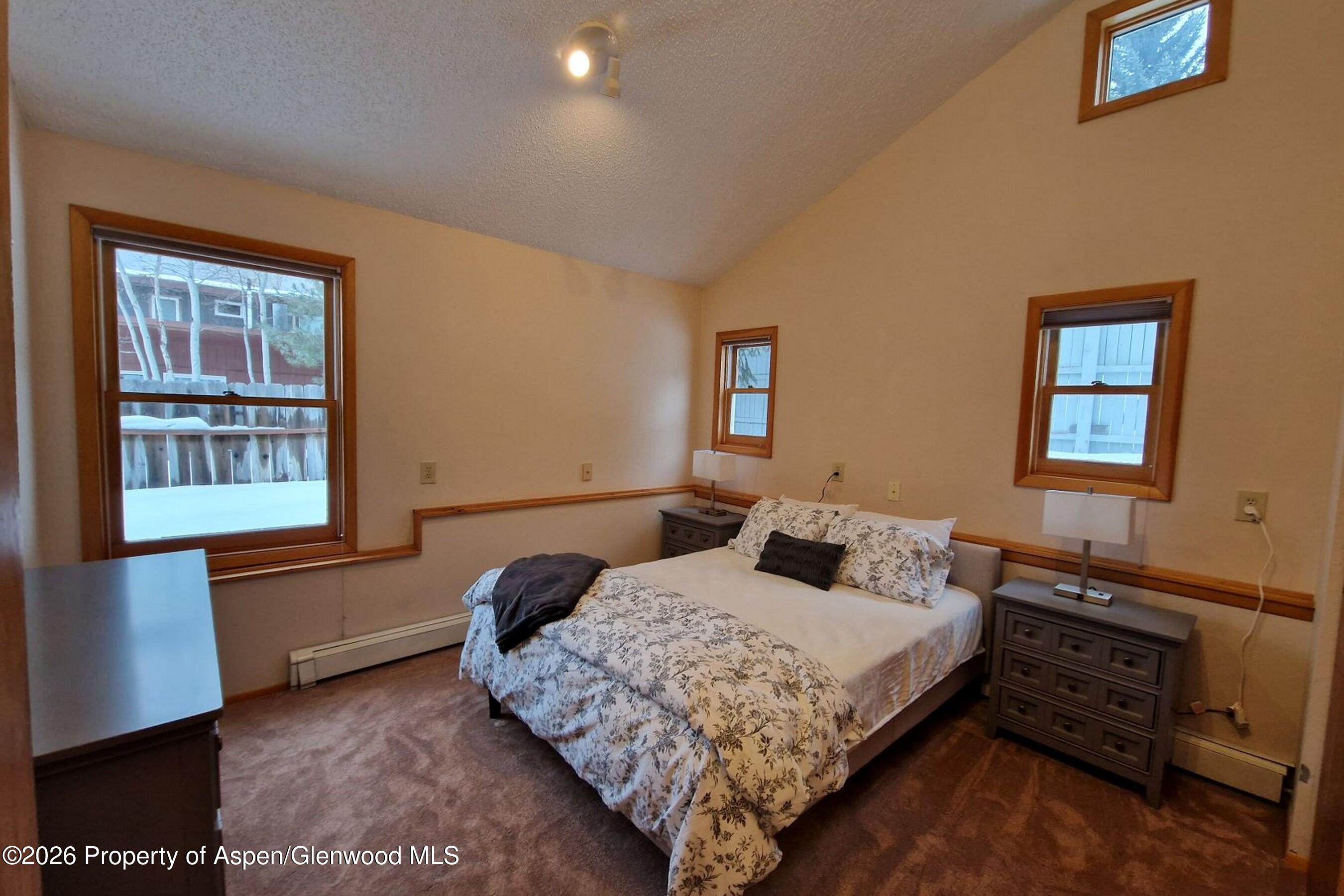 536 Spruce Street, Unit S 1 AND 2 Aspen, CO 81611 - Photo 5 of 7 20221228_151101