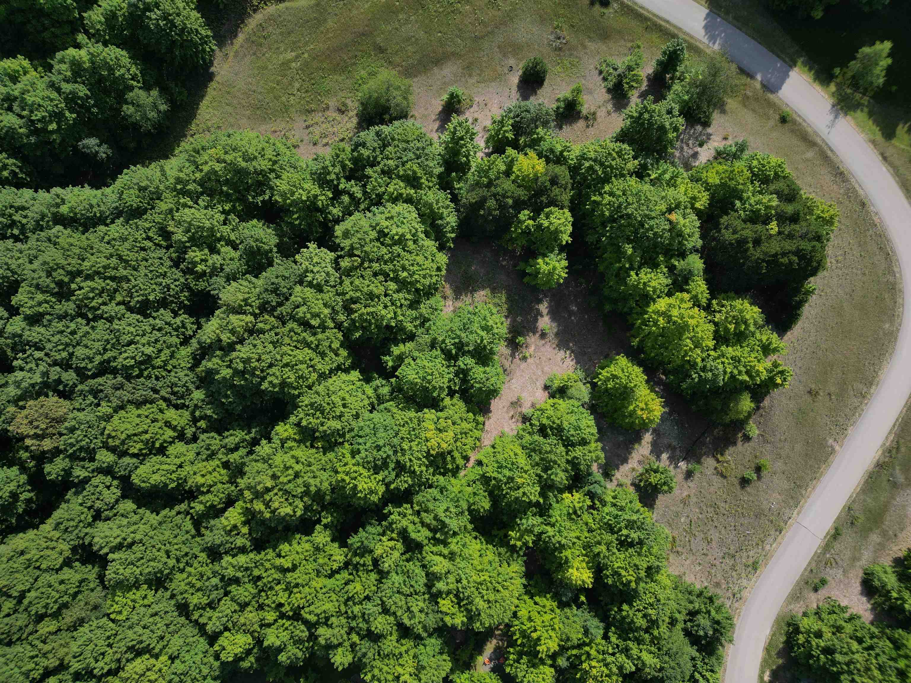5 East Meander Lane Cedar, MI 49621 - Photo 3 of 19