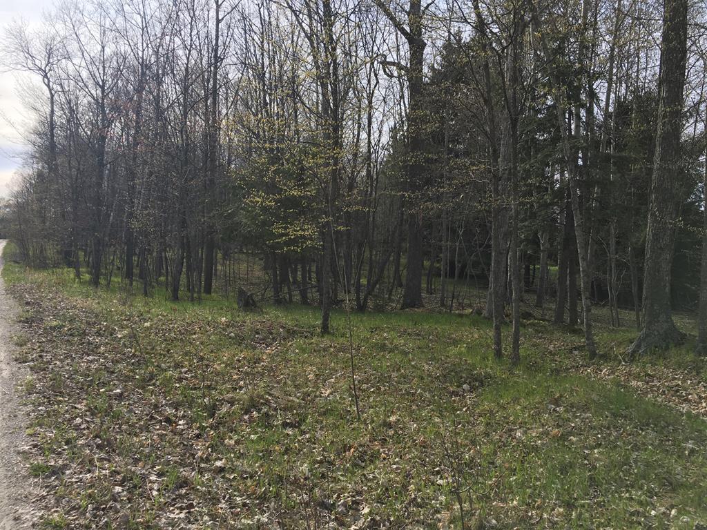 Lot 1 Deer Track Road Brussels, WI 54204 - Photo 2 of 5