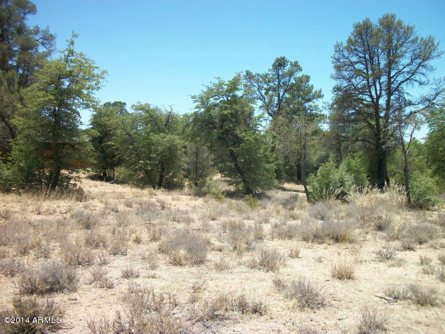 414 South Forest Ridge Court, Unit 8 Payson, AZ 85541 - Photo 4 of 6 Photo 04