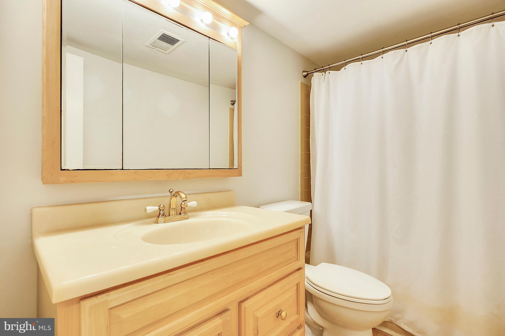 2009 Post Road Vienna, VA 22181 - Photo 24 of 30 Lower Level full bath