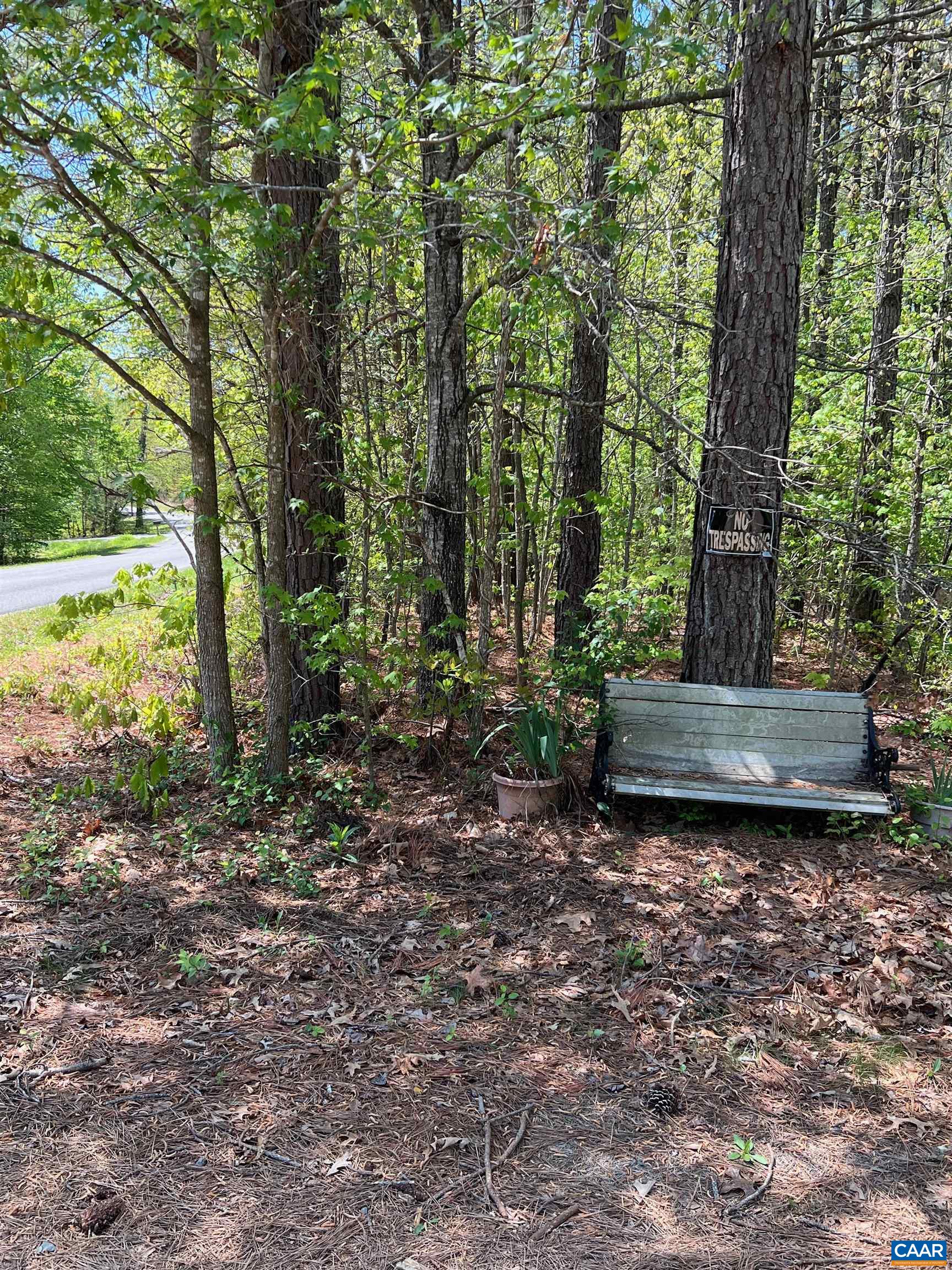 1261 Miles Jackson Road Palmyra, VA 22963 - Photo 37 of 40 a view of a yard with large trees