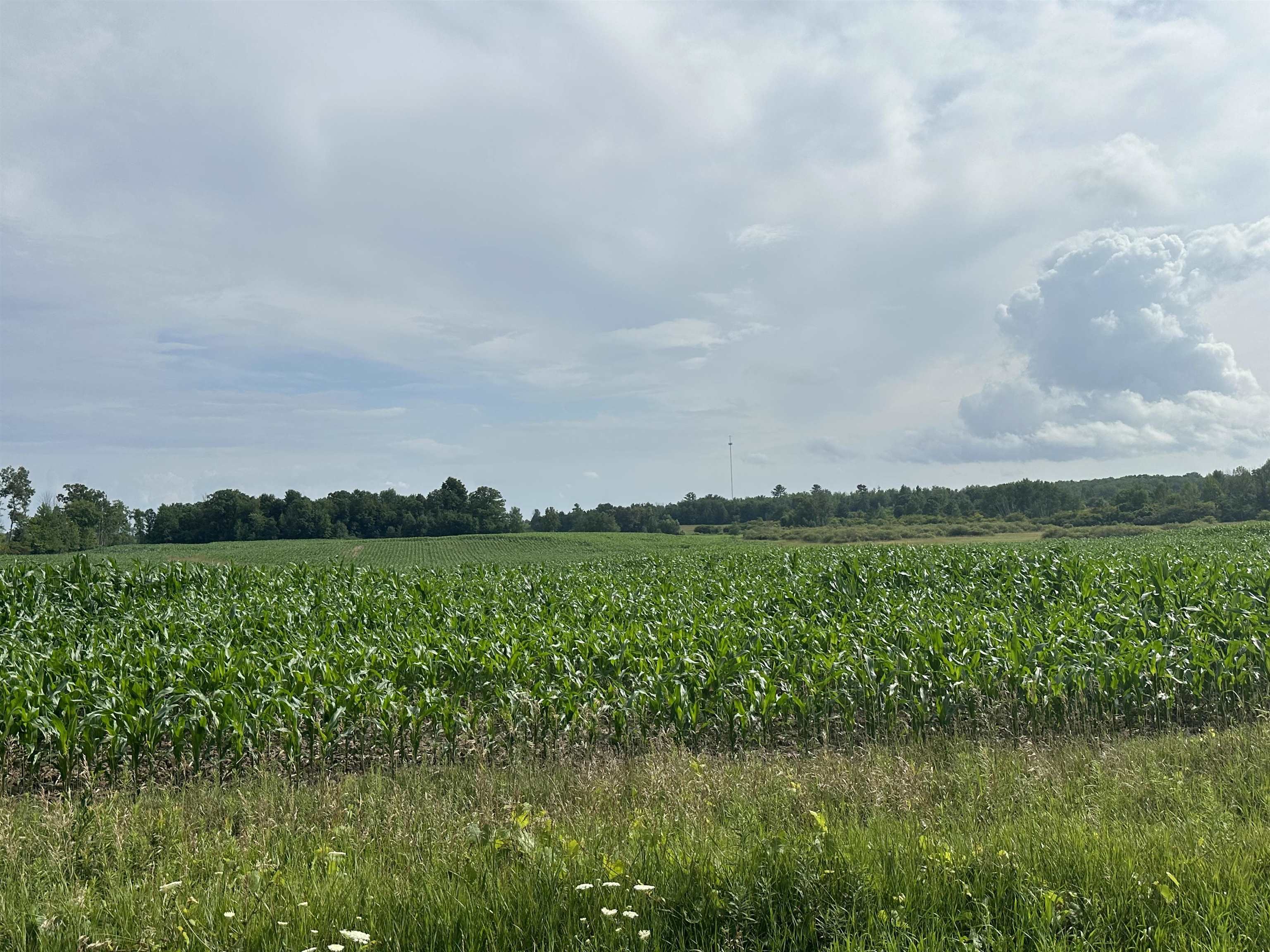 19 Mile Road Marion, MI 49665 - Photo 7 of 9