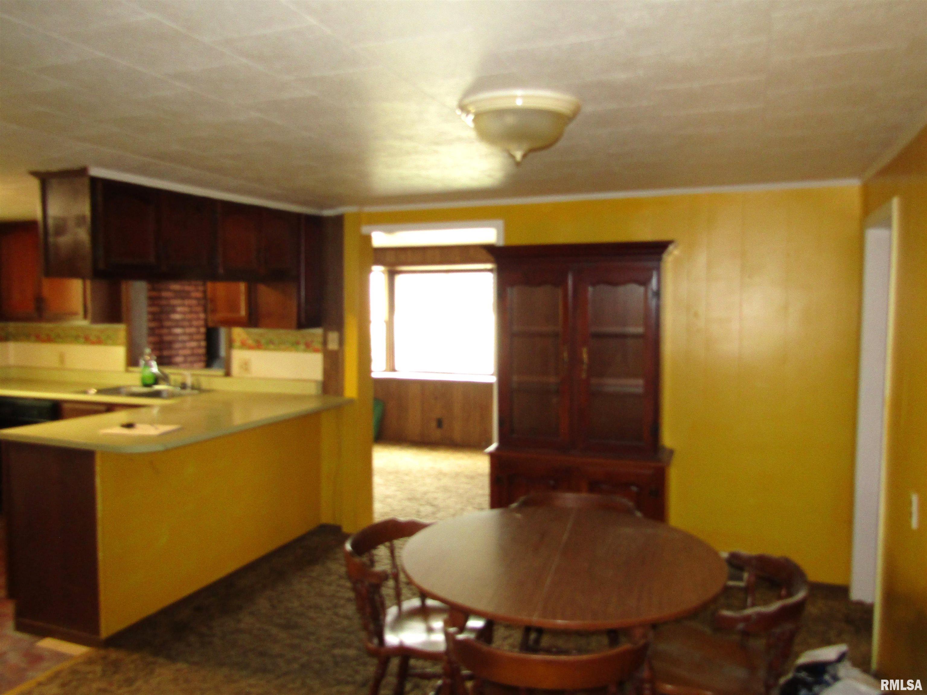 307 South Maple Street Lewistown, IL 61542 - Photo 15 of 31