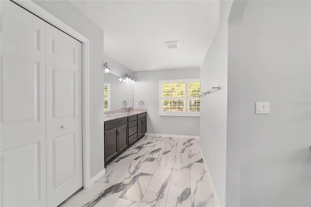 a view of a forest with trees in the background