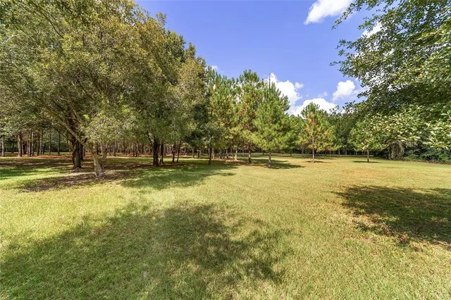 $1,950,000 | 15600 Northwest 185th Street, Williston, FL 32696