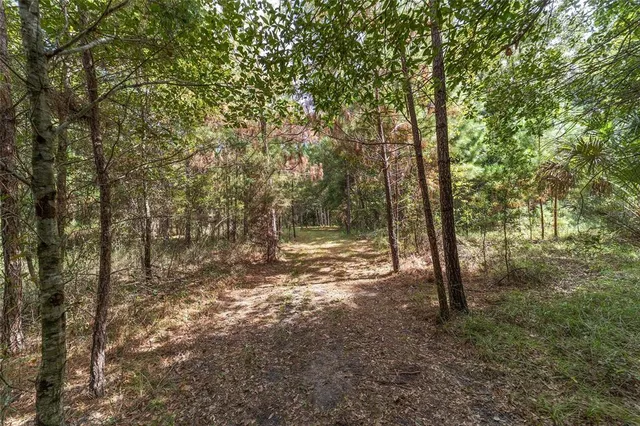 $1,950,000 | 15600 Northwest 185th Street, Williston, FL 32696