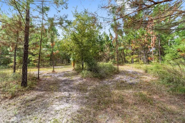 $1,950,000 | 15600 Northwest 185th Street, Williston, FL 32696