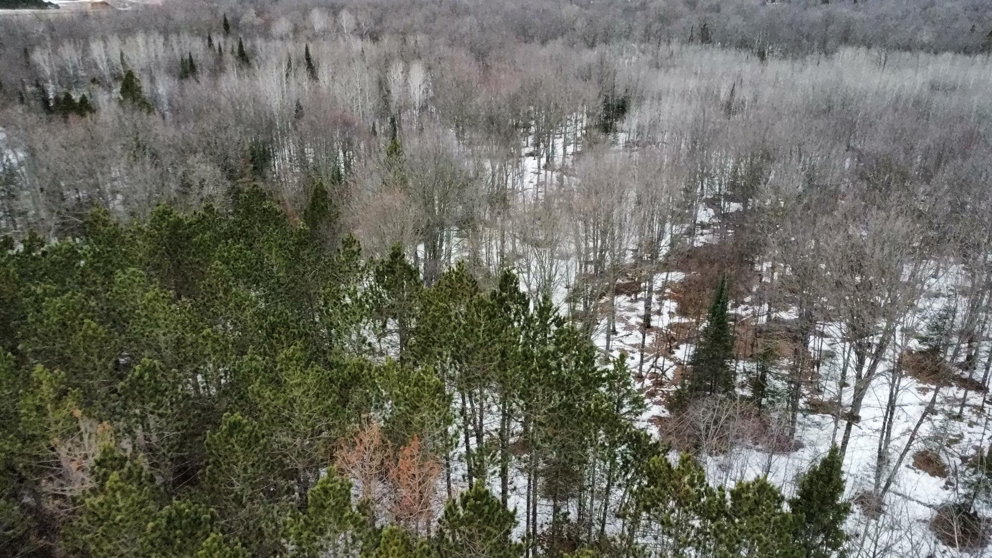 N6224 Pratt Road Gleason, WI 54435 - Photo 65 of 68 Gallery Image 65
