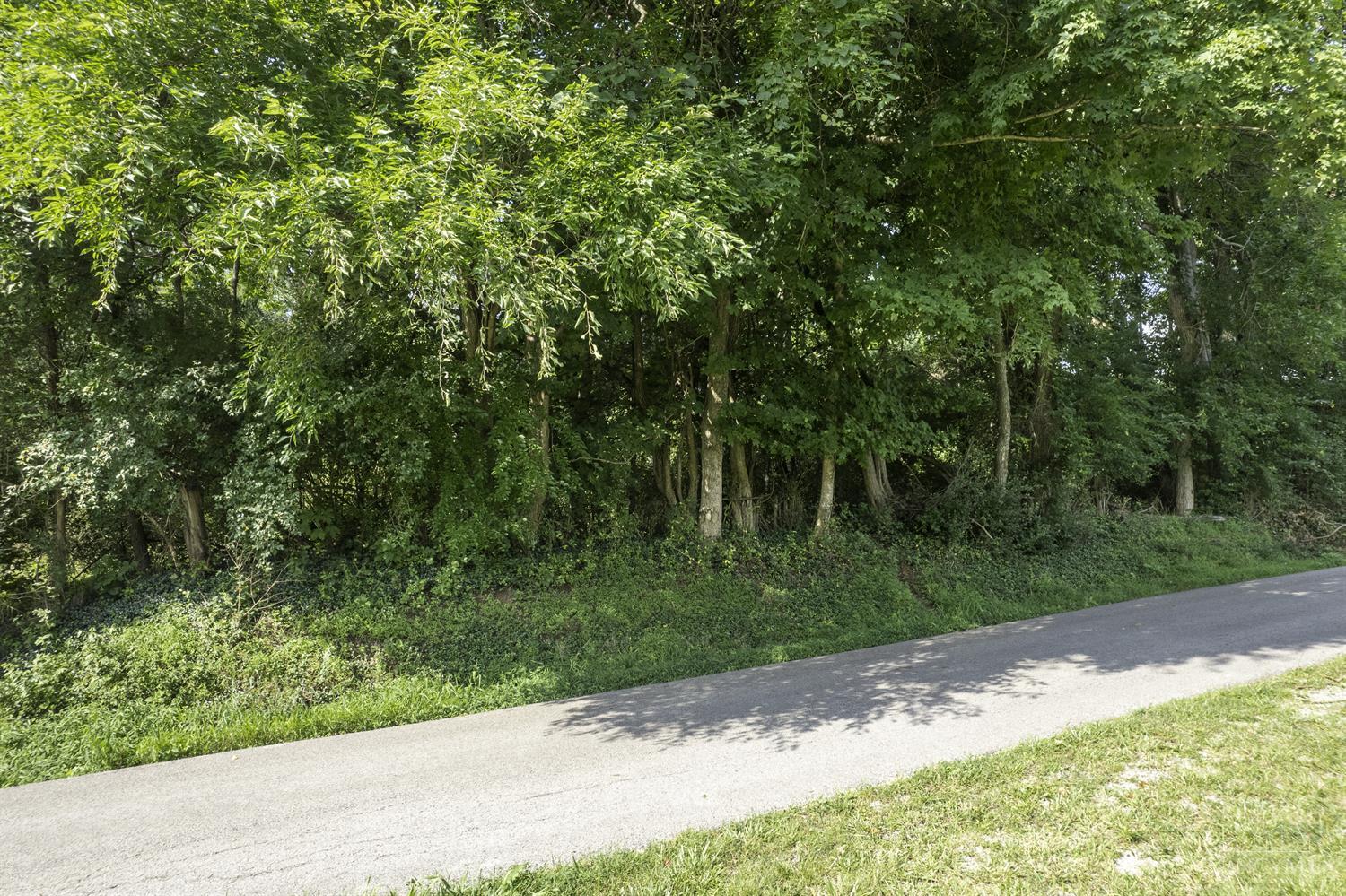 0 Ireton Trees Road Moscow, OH 45153 - Photo 16 of 19