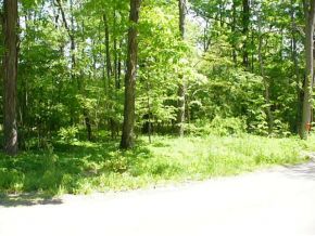 38 Spaulding Hill Road Owego, NY 13827 - Photo 11 of 12 Gallery Image 11