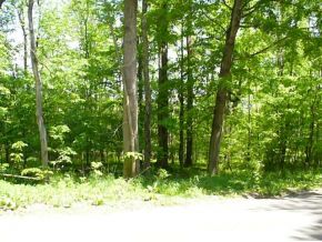 38 Spaulding Hill Road Owego, NY 13827 - Photo 12 of 12 Gallery Image 12