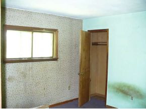38 Spaulding Hill Road Owego, NY 13827 - Photo 9 of 12 Gallery Image 9