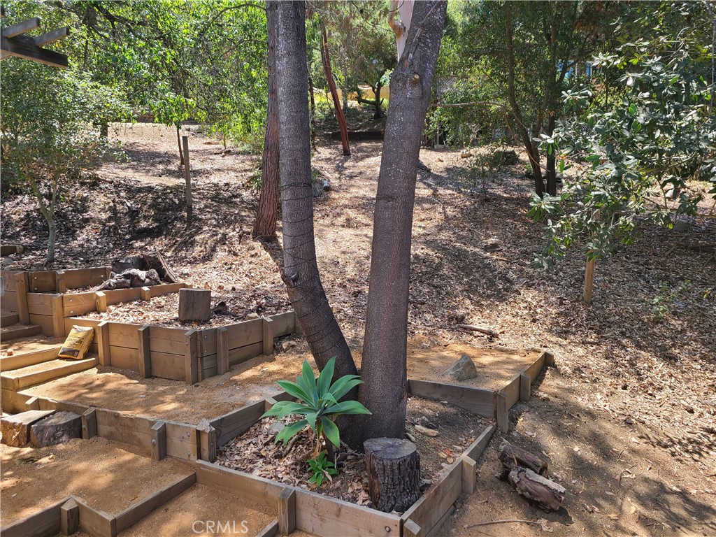 243 Amy Way Topanga, CA 90290 - Photo 24 of 31 a view of a yard with plants