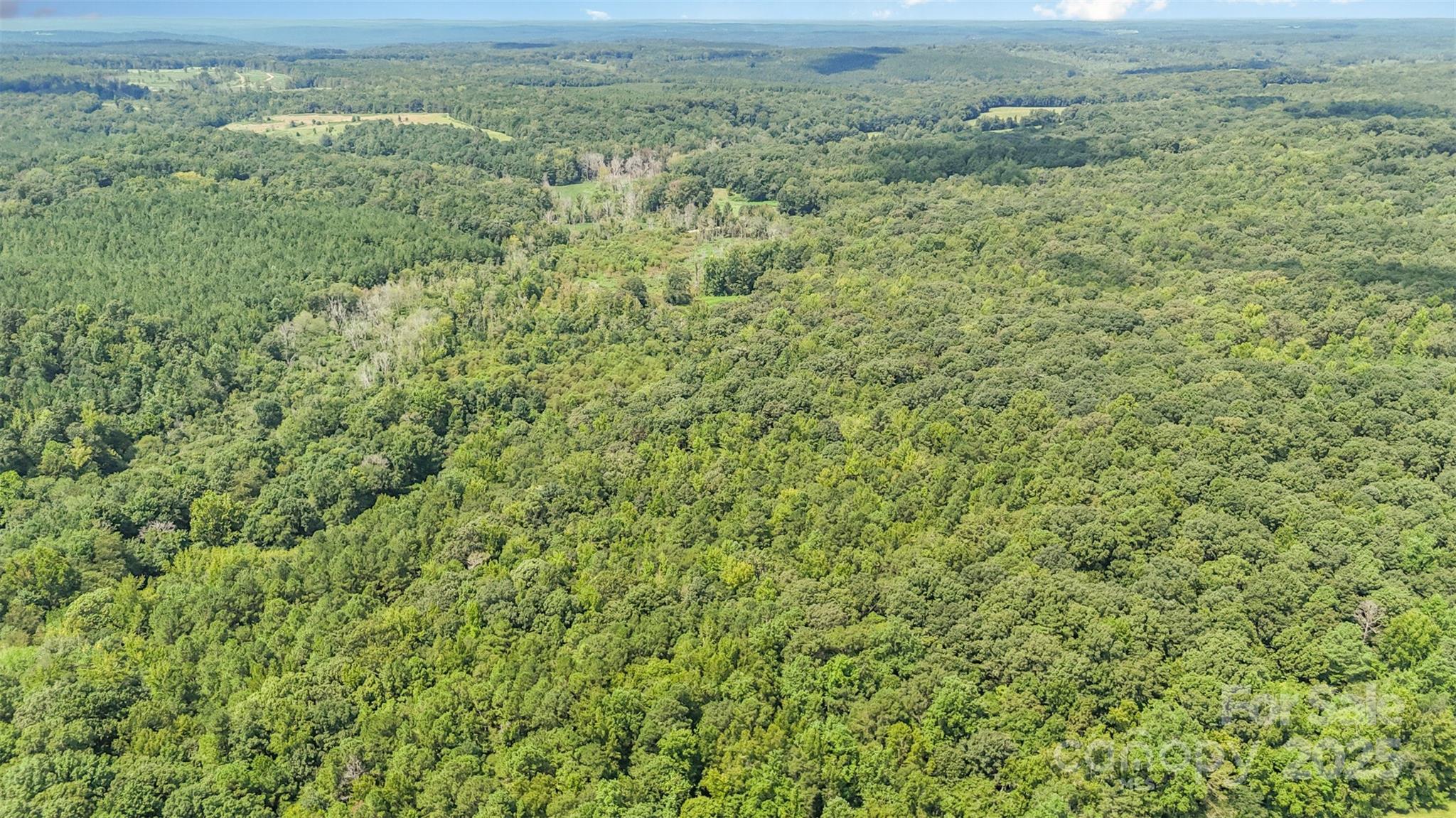 0 Ussery Road Kershaw, SC 29067 - Photo 4 of 5