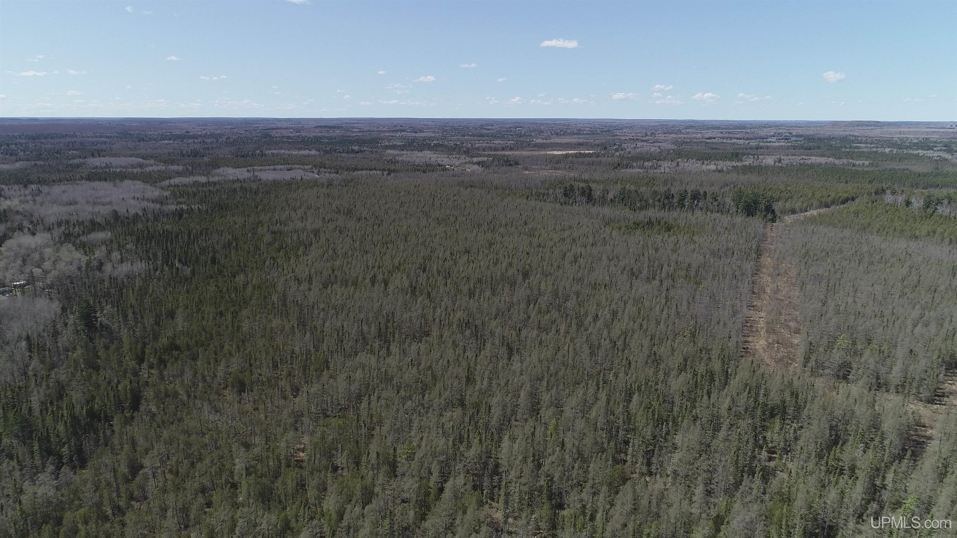 252-acres 252-acres Helen Lake Road Ishpeming, MI 49849 - Photo 6 of 11