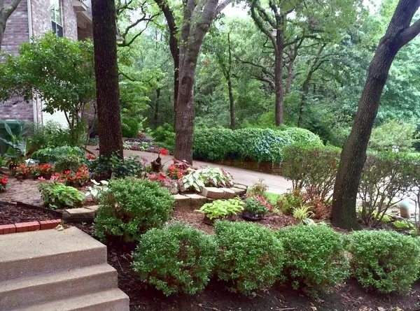 a view of a pathway of a park