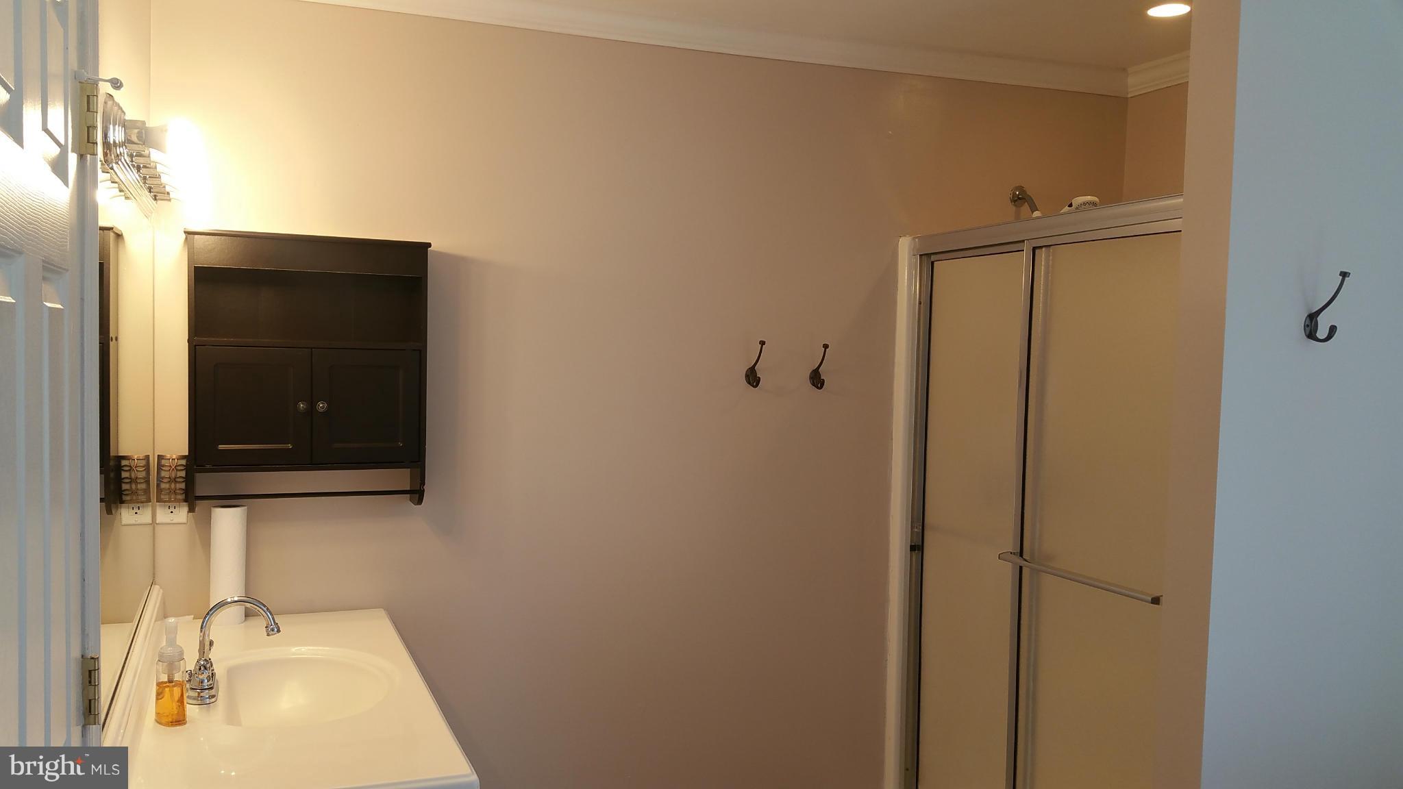 11581 Central Avenue Ridgely, MD 21660 - Photo 29 of 30 Bath (Master)
