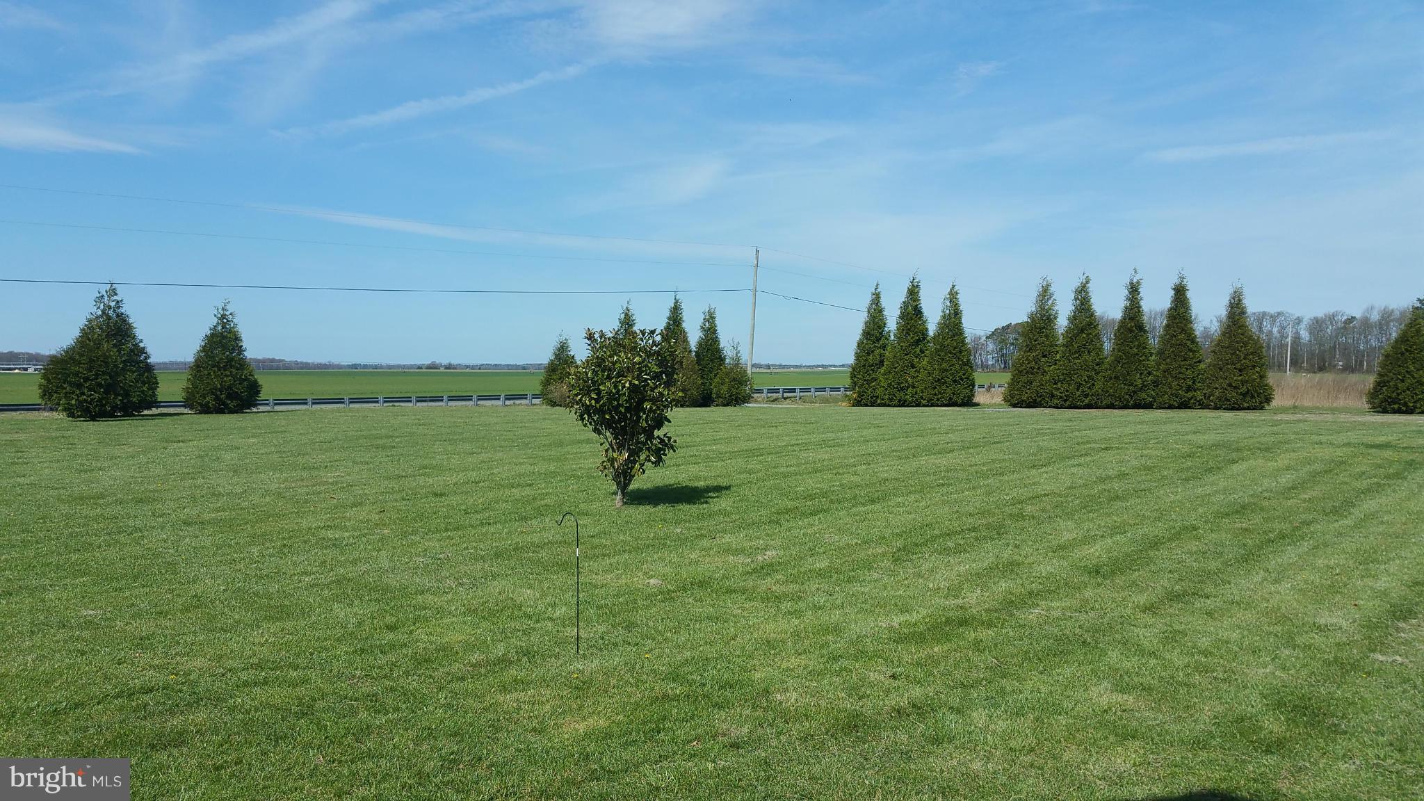 11581 Central Avenue Ridgely, MD 21660 - Photo 5 of 30 View from front porch