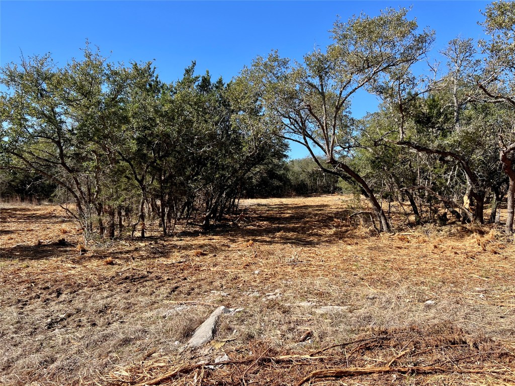 422 Patricia Road Georgetown, TX 78628 - Photo 2 of 14 a view of snow on the side of a road