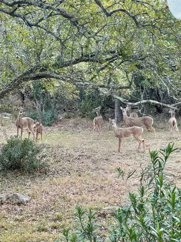 $849,900 | 422 Patricia Road, Georgetown, TX 78628