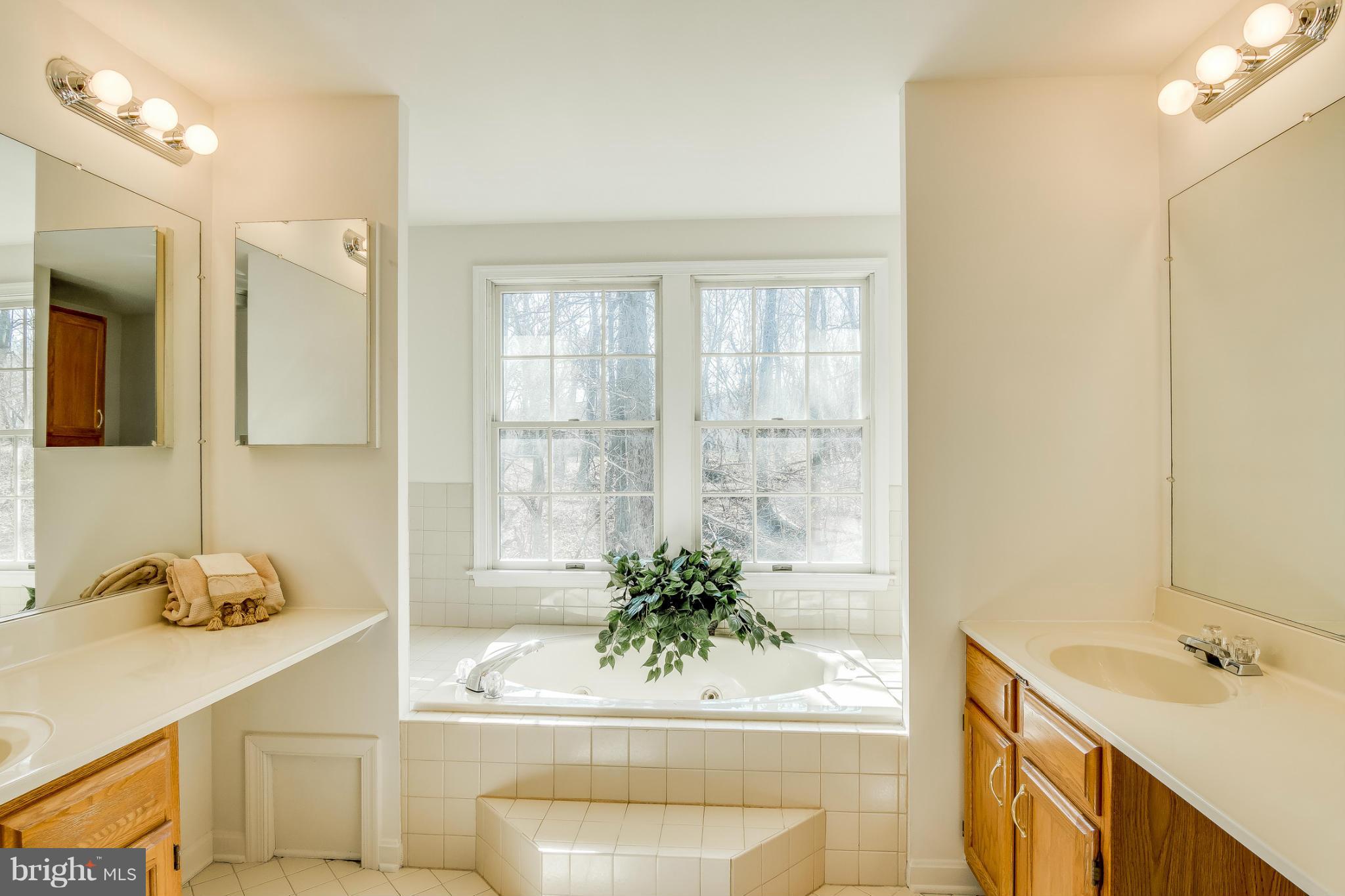 421 Twin Arch Road Mount Airy, MD 21771 - Photo 22 of 30 Bath (Master)