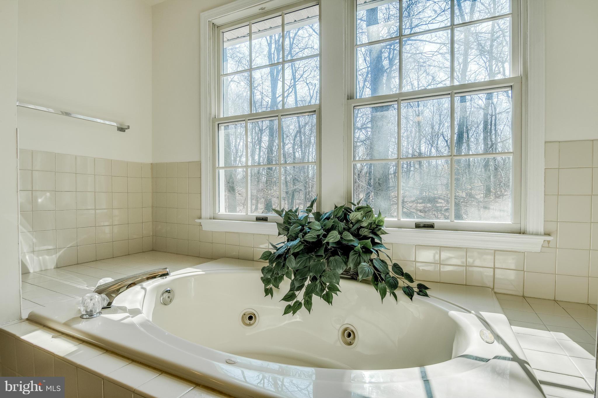421 Twin Arch Road Mount Airy, MD 21771 - Photo 23 of 30 Bath (Master)