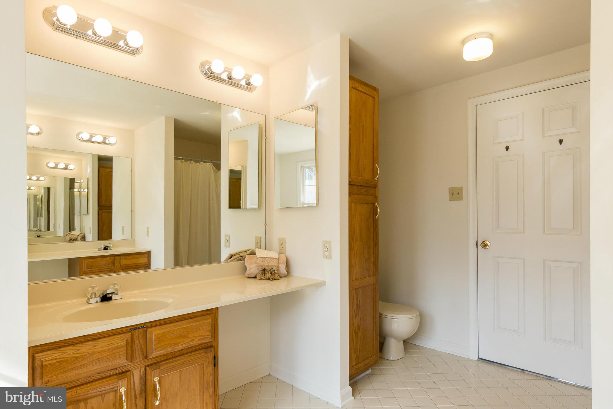 421 Twin Arch Road Mount Airy, MD 21771 - Photo 24 of 30 Bath (Master)