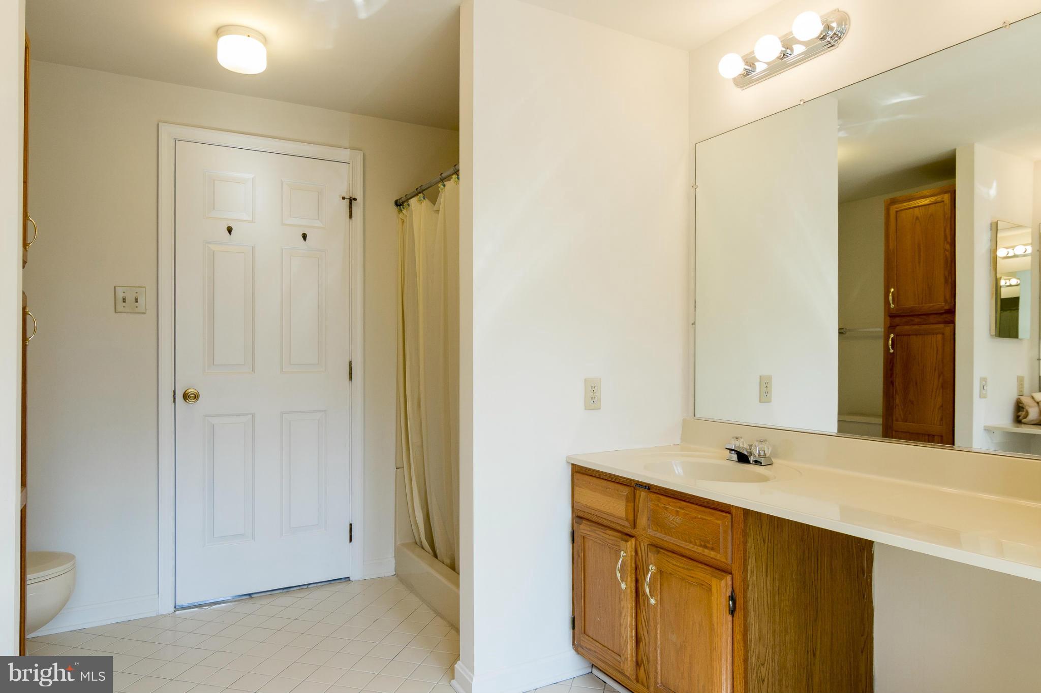 421 Twin Arch Road Mount Airy, MD 21771 - Photo 25 of 30 Bath (Master)