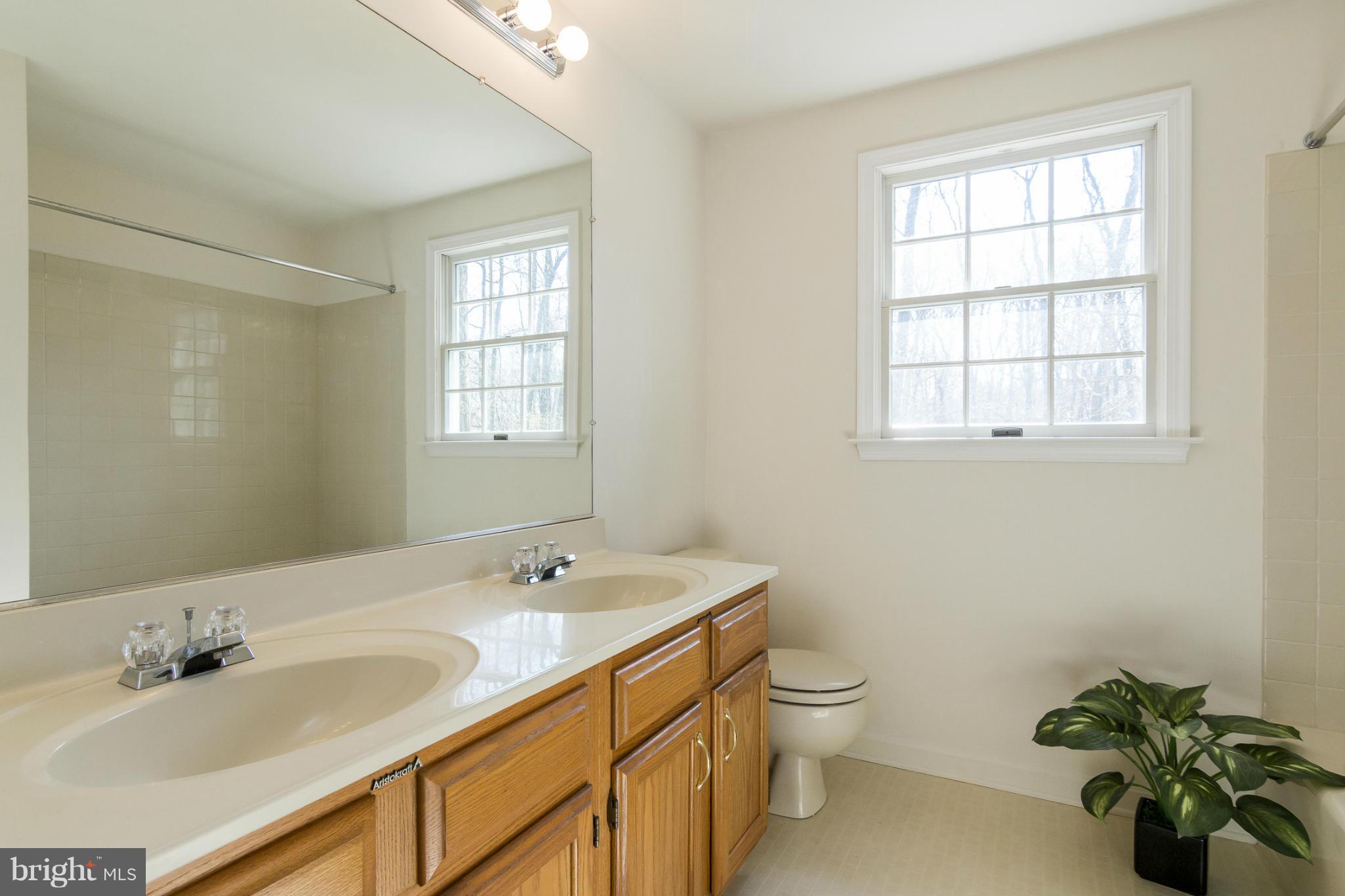 421 Twin Arch Road Mount Airy, MD 21771 - Photo 29 of 30 Bath