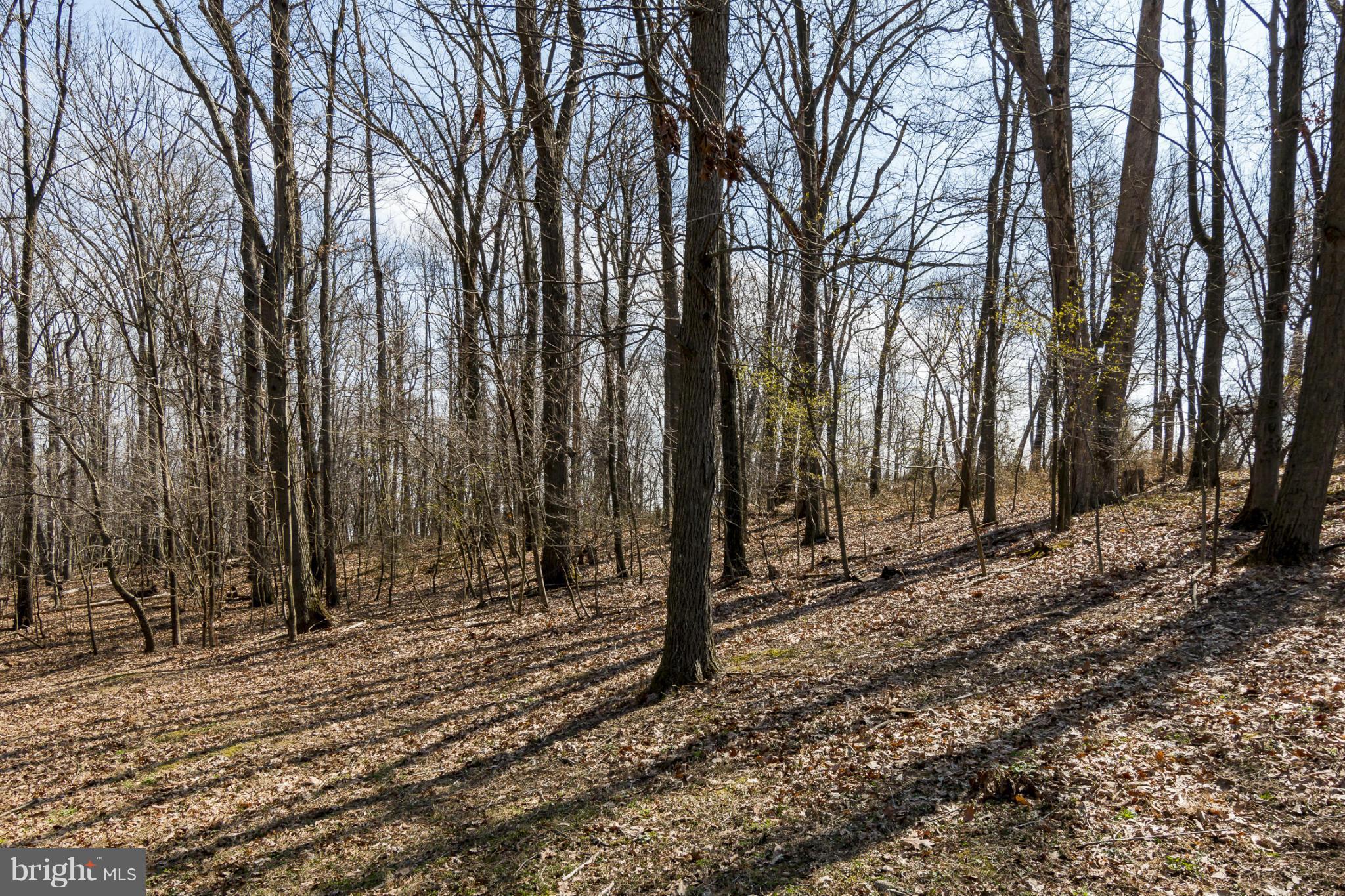 421 Twin Arch Road Mount Airy, MD 21771 - Photo 7 of 30 View