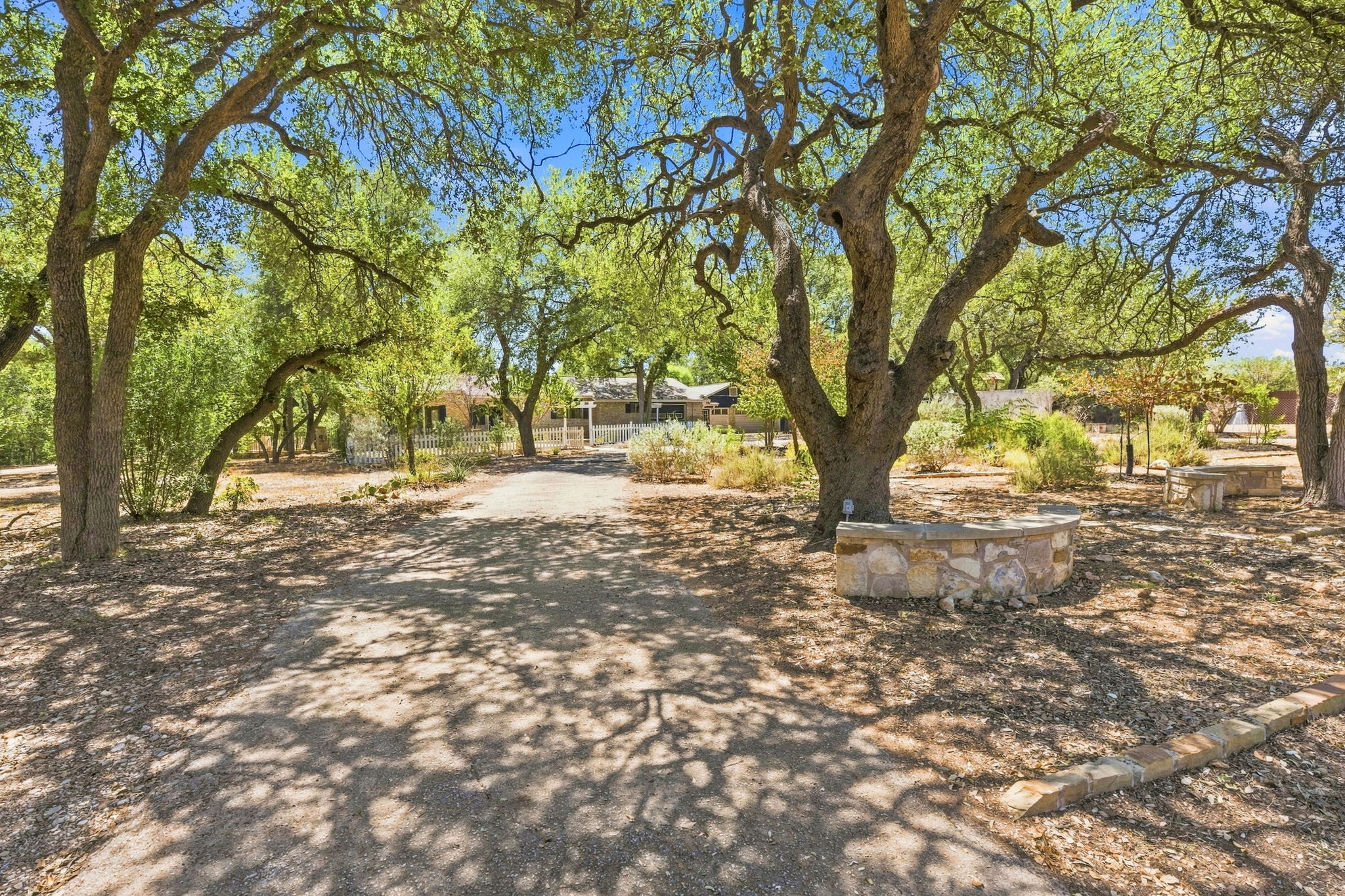 3809 Wyldwood Road Austin, TX 78739 - Photo 3 of 40 Mature shade trees and stone retaining walls frame the winding entryway to this private property.
