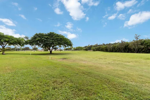 a front view of house with yard and trees in the background