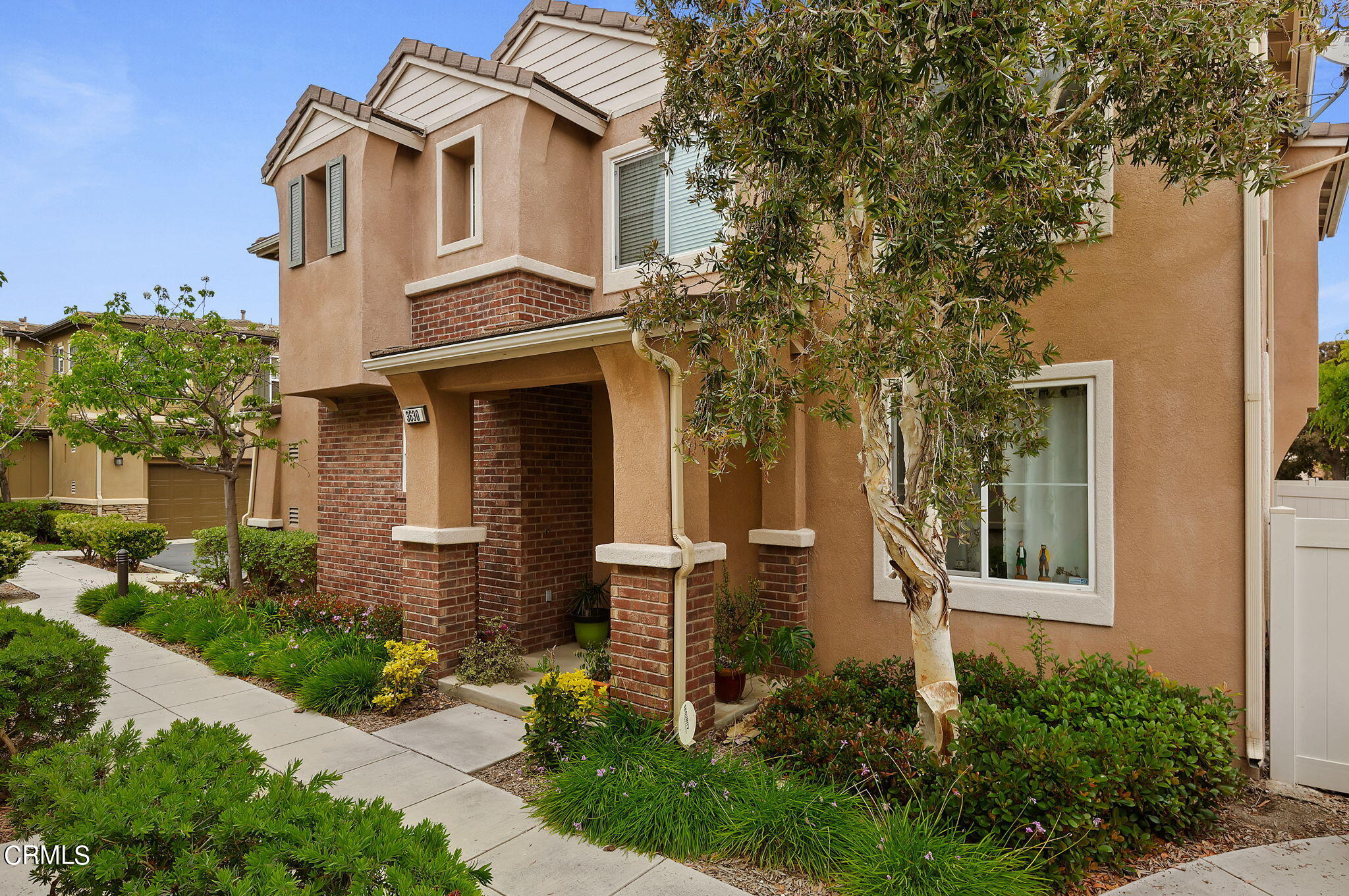 front view of a house with a tree