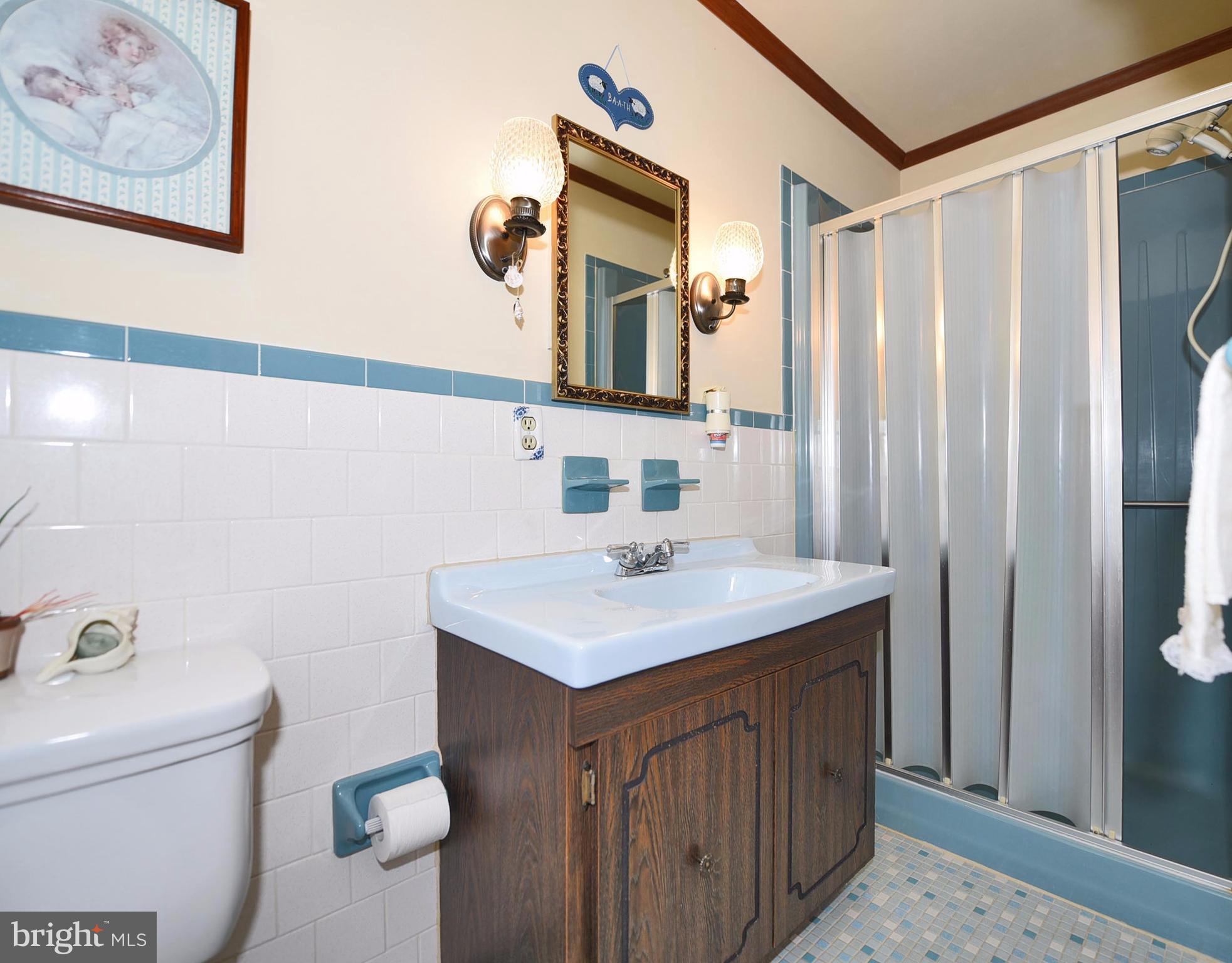 310 Whetstone Road Forest Hill, MD 21050 - Photo 17 of 30 Bath (Master)