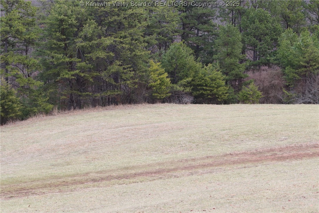 214 Spruce Run Road Ripley, WV 25271 - Photo 8 of 45 Gallery Image 8