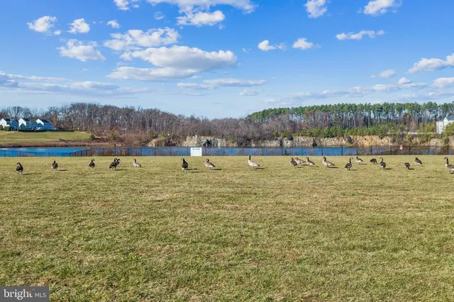 a view of a lake with houses in the back